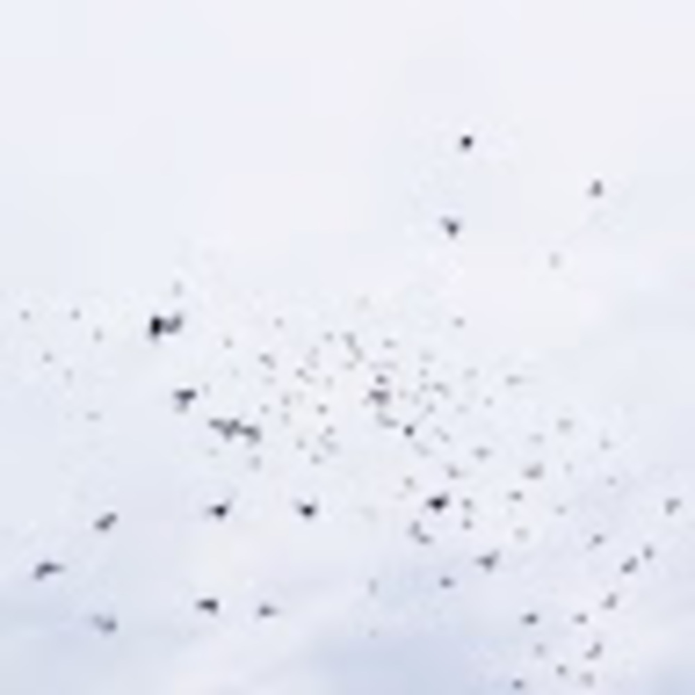 Meet your Posher, Caitlyn